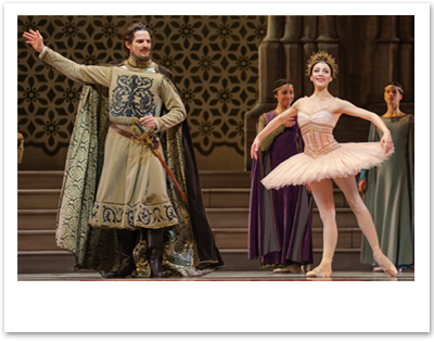 Het Borduurburo, Martine van 't Hul, Dutch National Ballet, borduren, handwerk, kunstenaar